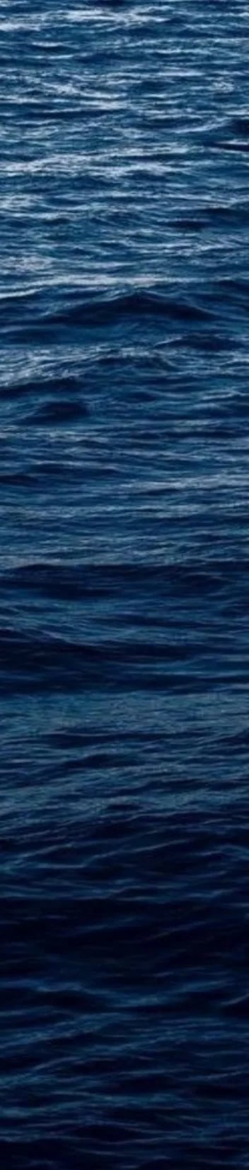 The sea — mood reference